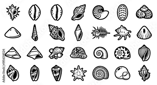 Seashell Silhouette Collection: 25 Bold Vector Shell Icons, Minimalist Marine Conch & Shell Illustration Set, Black & White Coastal Treasure Vector Graphics