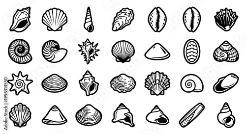 Seashell Silhouette Collection: 25 Bold Vector Shell Icons, Minimalist Marine Conch & Shell Illustration Set, Black & White Coastal Treasure Vector Graphics