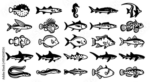 Minimalist Marine Life: 25 Bold Vector Fish Icons, Black & White Aquatic Species Silhouette Collection, Professional Fish & Sea Creature Vector Icon Set
