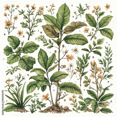 Nature Design Very Cool