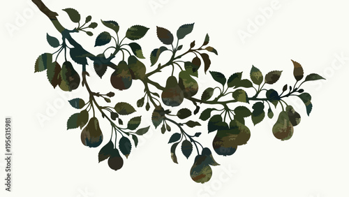Pear Tree Branch with Fruit Illustration for Food & Drink Marketing