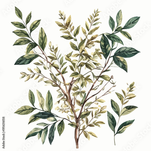 Nature Design Very Cool