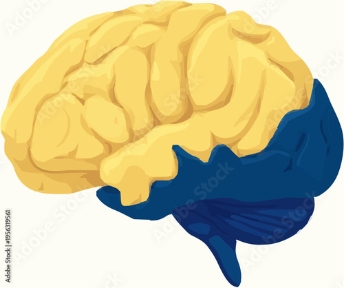 Cognitive Powerhouse: The Human Brain's Infinite Possibilities