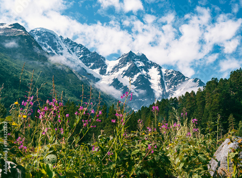 Beautiful pink flowers of chamaenerion angustifolium in front of blurred snowy mountain peaks, blue sky and clouds. Amazing landscape of Caucasus mountains in sunny summer day.
