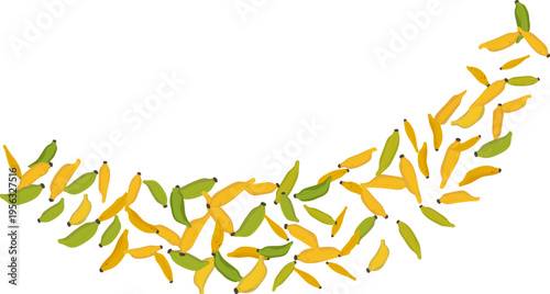 Nam Wa banana flat vector illustration isolated design. Tropical fruits in various ripening stages