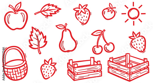 Hand drawn red fruit and vegetable icons with basket and crates for harvest and healthy eating concepts