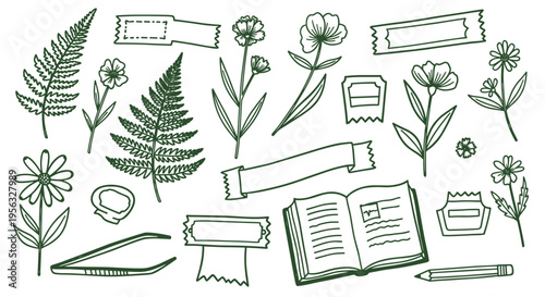 Hand drawn botanical illustrations and journaling elements for scrapbooking and creative projects