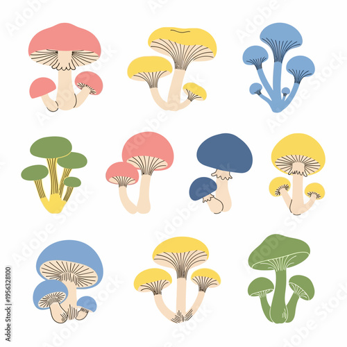 Cute Mushroom Illustrations Collection - Colorful Fungi Set