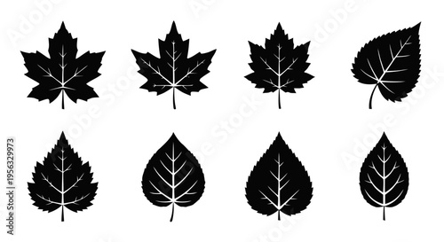 Vector illustration of set of black leaf silhouettes on a transparent background