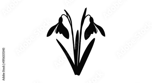 Vector illustration of black silhouette of snowdrop flowers on a transparent background