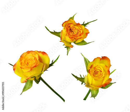Set of small yellow and red...