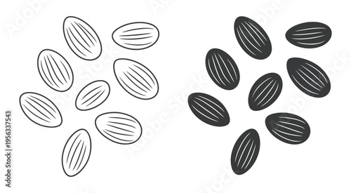 Almond illustration, light and dark silhouette design
