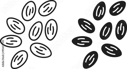 Almond illustration, light and dark silhouette design