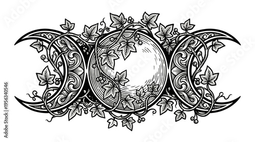 Captivating Lunar Cycle Illustration Featuring Full Moon Surrounded by Ornate Leafy Frame in Minimalist Black‑White Setting