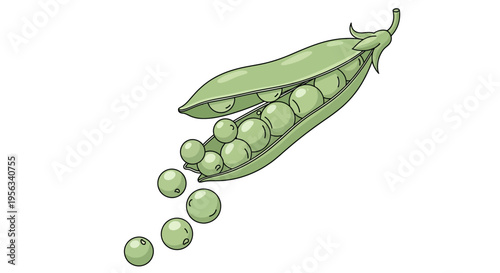 Green peas in a pod spilling.