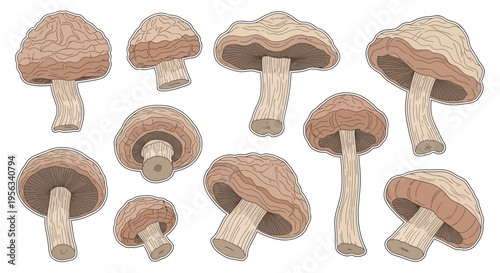 Collection of wooden mushroom models.