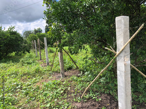 farmyard has a perimeter fence made of barbed concrete posts.