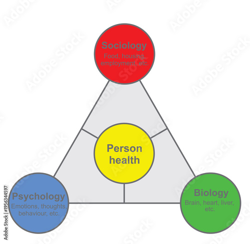 Person's health model. vector illustration