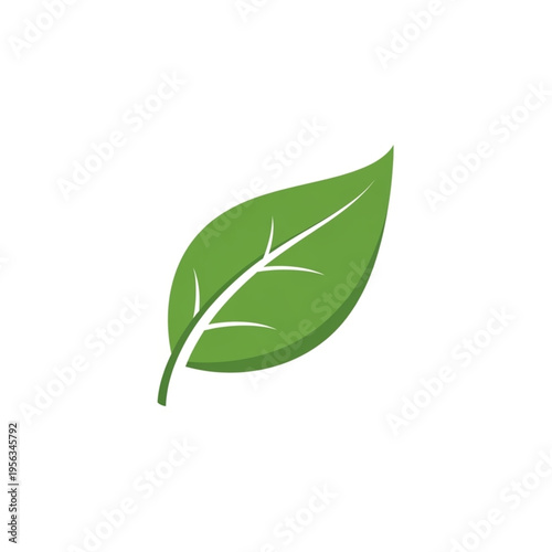 Fresh green leaf icon isolated on white background as a natural symbol for eco growth and organic environment design