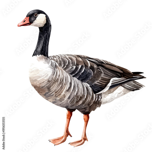 Goose, charming watercolor vector with soft tones and graceful design, isolated on a white background.