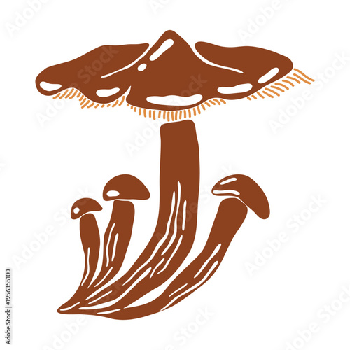Honey Fungus. Wild forest mushrooms, edible fungi with wide flat brown cap and slender stalks, autumn mycology harvest, organic food isolated on white background. Vector illustration