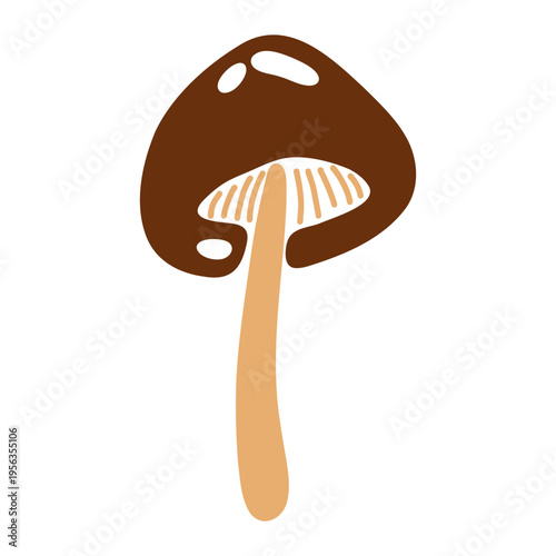 Porcini Mushroom. Wild edible forest fungi Boletus edulis with brown round cap and long pale stalk, autumn mycology harvest, gourmet organic food. Vector flat illustration