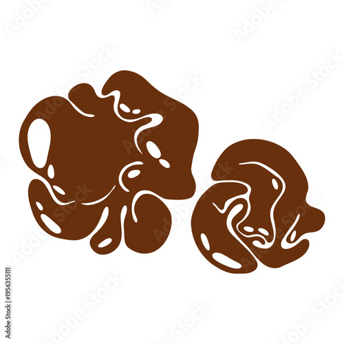 Truffle Mushroom. Wild rare forest edible underground fungi, luxury gourmet delicacy, organic food ingredient, French cuisine. Vector flat illustration
