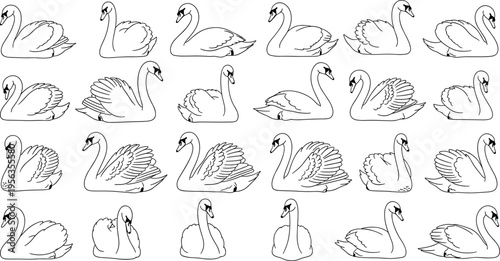 Swan outline icon set with elegant bird poses waterfowl silhouettes wildlife vector illustration collection isolated minimal line art design