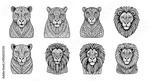Intricate line art depicting various lion and leopard portraits