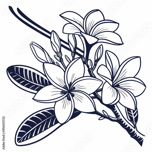 frangipani with leaves