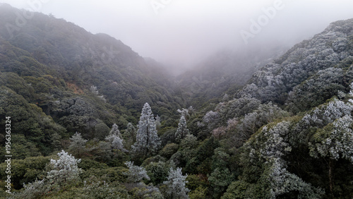 Photography Jiuxian Mountain Frost Rime, Dehua, Quanzhou
