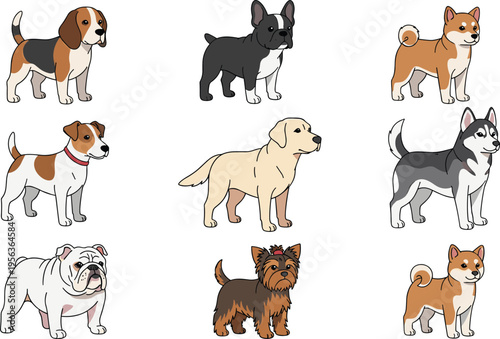 Cute cartoon dog breeds illustration, beagle bulldog labrador husky shiba terrier puppies, pet collection, kids nursery clipart, vector set