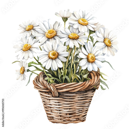 Daisy Bouquet In A Basket, watercolor vector portraying a joyful pose with colorful highlights, isolated on a white background.