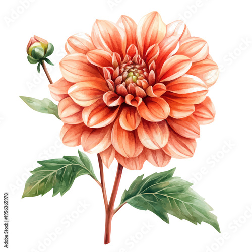 Dahlia Branch, watercolor illustration featuring playful movement and lively expressions, isolated on a white background.