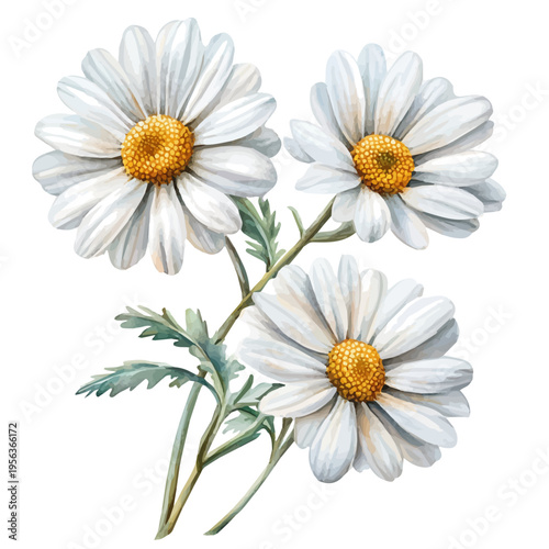 Dahlberg Daisy Branch, watercolor illustration featuring playful movement and lively expressions, isolated on a white background.