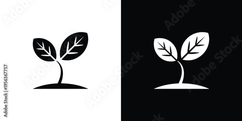 Black and white plant silhouettes on contrasting backgrounds