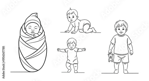Line art illustration depicting a baby s growth stages from infant to toddler