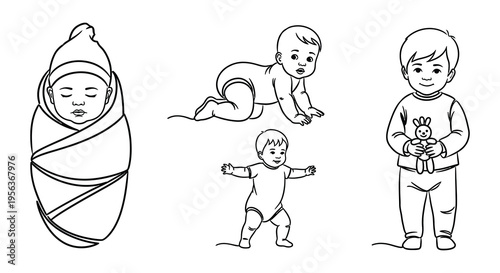 Line art illustration depicting a baby s growth stages from infant to toddler