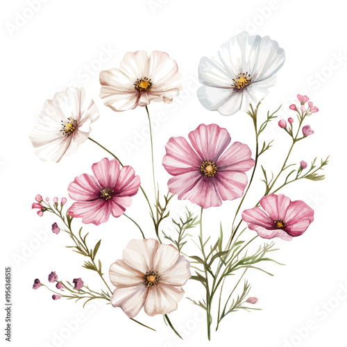 Картината върху платно Cosmos Branch, watercolor vector portraying a joyful pose with colorful highlights, isolated on a white background