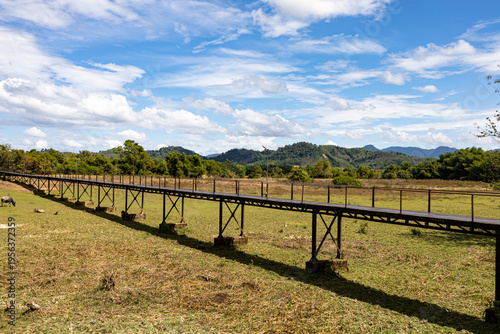 Old iron bridge in summer, Phang Nga, Thailand.