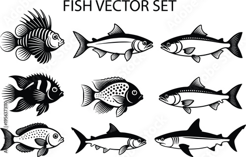 Fish vector set with various marine and freshwater species, detailed black and white seafood illustration collection for fishing, market and aquatic design