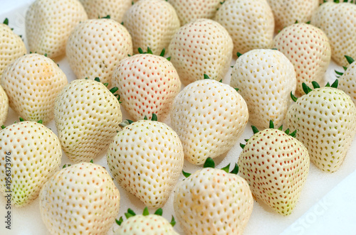 Many fresh strawberries are arranged together