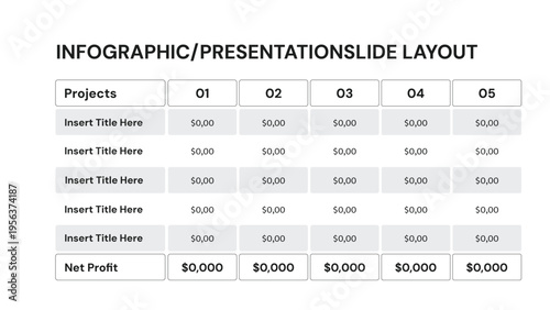 Financial project table displaying net profit data for five categories