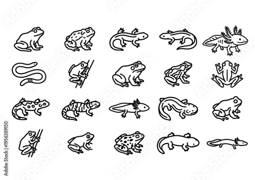 amphibian icons vector illustration