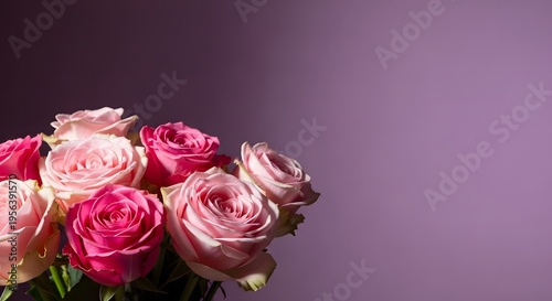 A bouquet of pink roses on a purple background with copy space