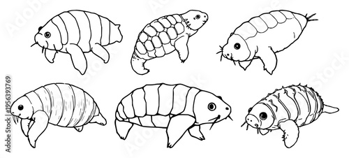 Microscopic tardigrade set with fine line art featuring biology detail, elegant thin lines, minimalist outline with illustration and vector