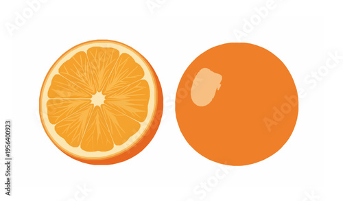 Fresh orange and half cut citrus fruit with water droplets vector illustration isolated on white background clipping path ready