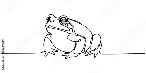 Sonoran Desert Toad continuous one line drawing, Minimalist Line Drawing Horned Frog Wildlife Creature Simple Outline Illustration, Desert rain frog drawing. It is a black and white outline vector of.