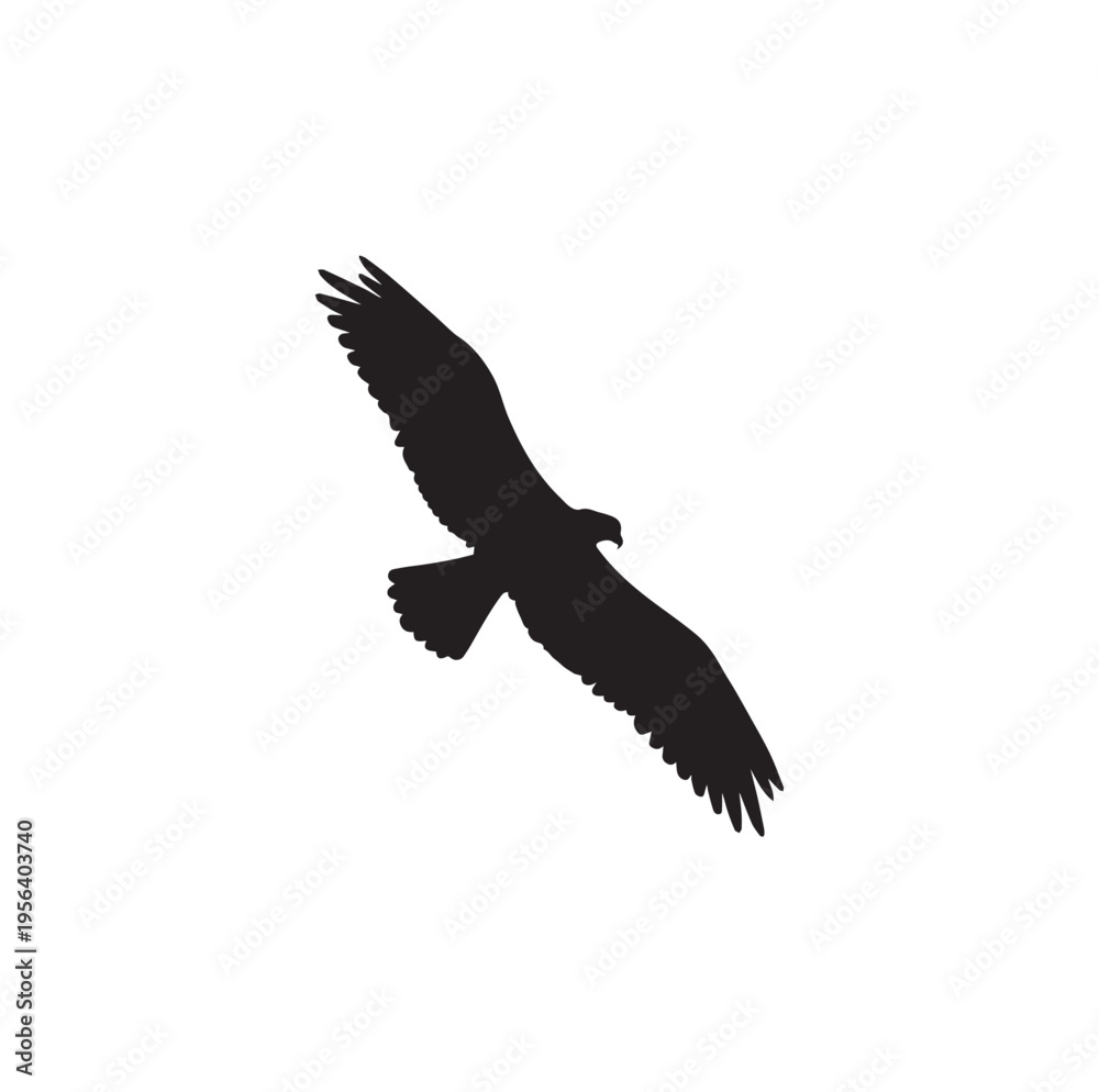 Obraz premium “Soaring Freedom”