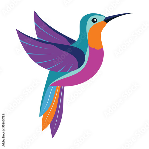 hummingbird isolated on white